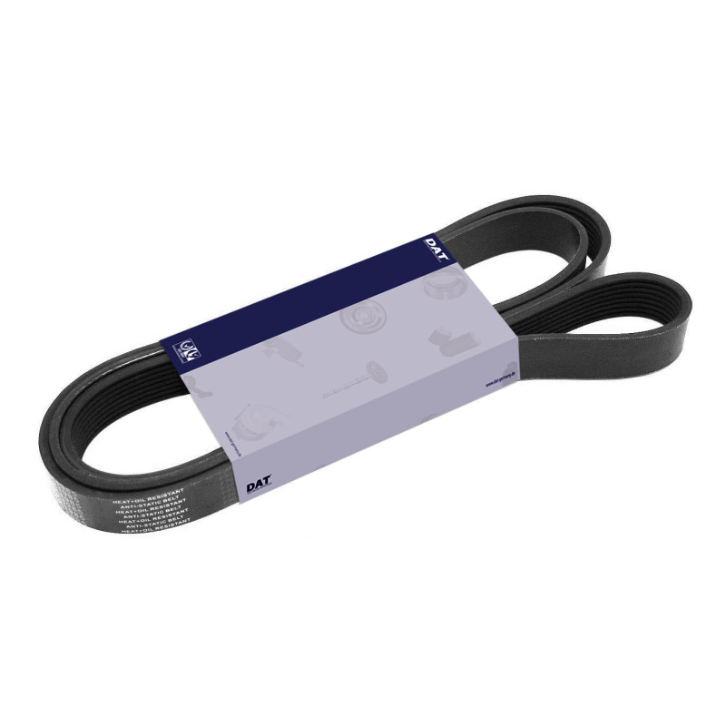 RIBBED BELT